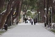 IMG_9228.JPG