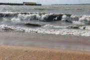 IMG_7012.JPG