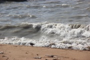 IMG_7025.JPG