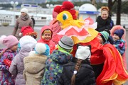 IMG_7328.JPG