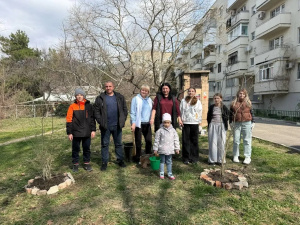 Высадка гибискусов Высадка гибискусов