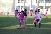IMG_9382.JPG