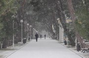 IMG_9160.JPG