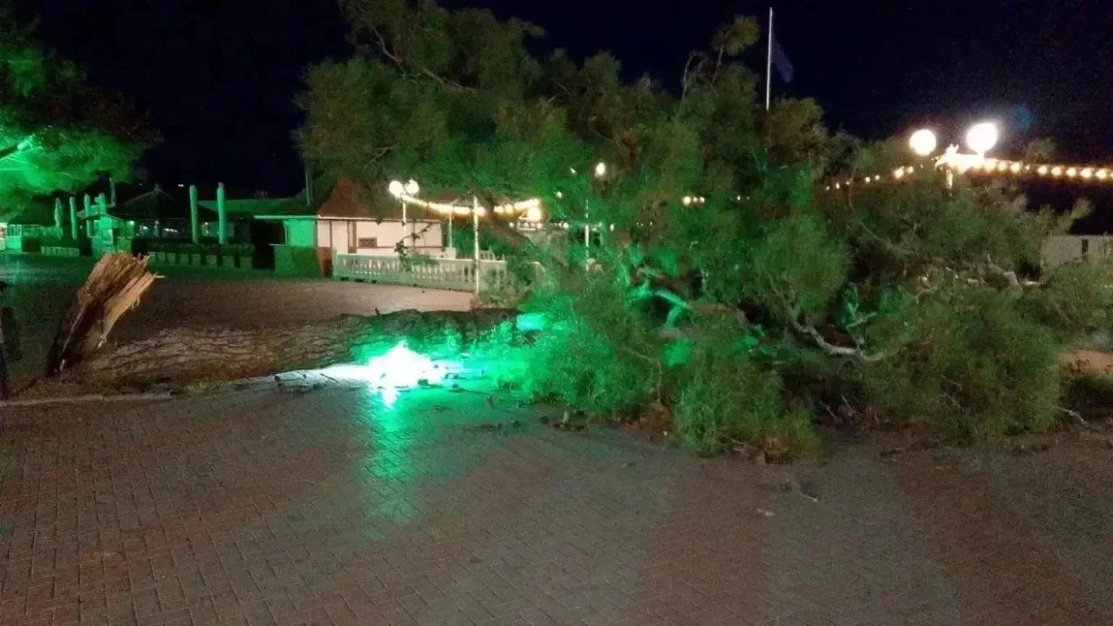 В Геленджике продолжается ветреная погода, ночью порывы достигали до 29 м/с