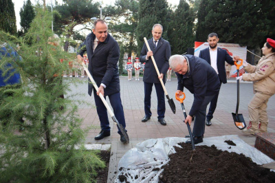 Депутаты городской Думы инициировали проведение акции «Дерево жизни», посвященной почетным жителям Геленджика