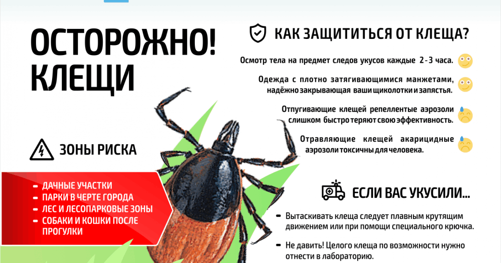 Начался сезон активности клещей! Будьте внимательны! Начался сезон активности клещей! Будьте внимательны!