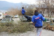 IMG_6939.JPG