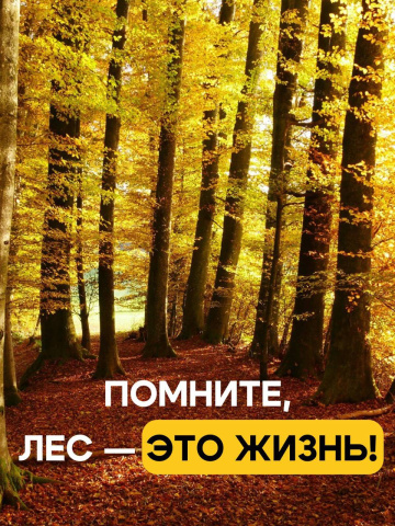 Не шутите с огнем