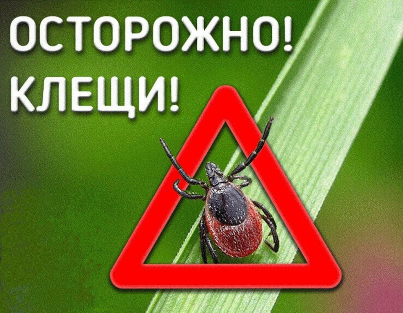 Осторожно! Клещи!