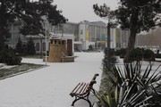IMG_9114.JPG