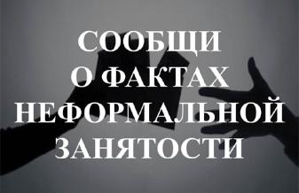 БОЙ С ТЕНЬЮ: вместе на страже борьбы с неформальной занятостью