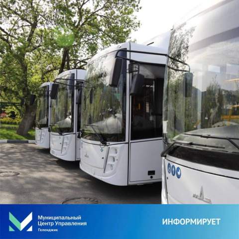 Как будет работать общественный транспорт на Радоницу