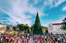 Главную новогоднюю елку Геленджика установят в начале декабря на Центральной площади курорта