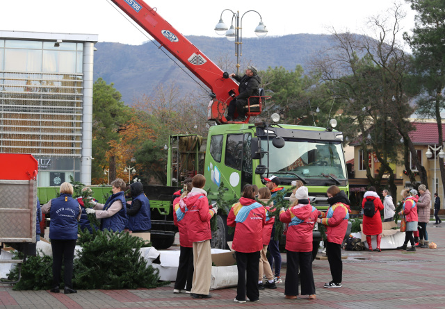 Волонтеры помогают собирать главную елку Геленджика