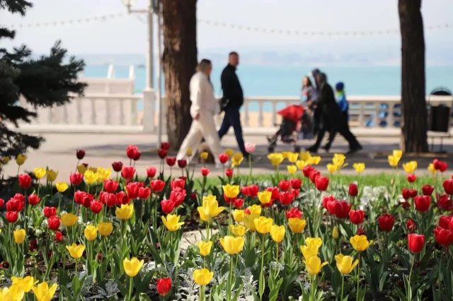 Весенний Геленджик Весенний Геленджик