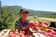 IMG_4279.JPG