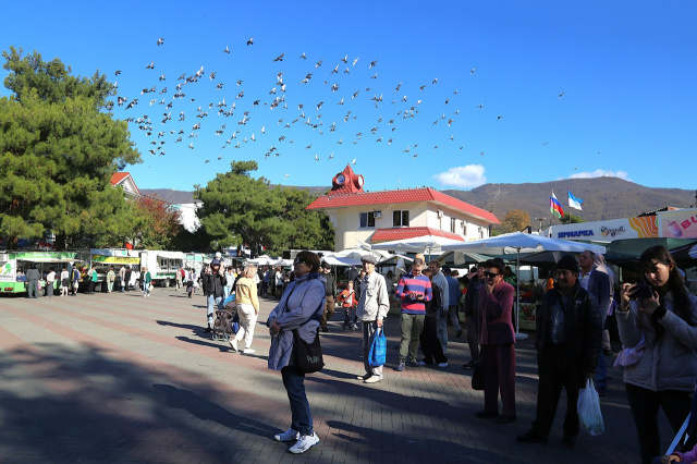 Следующая ярмарка выходного дня пройдет 8 и 9 ноября Следующая ярмарка выходного дня пройдет 8 и 9 ноября