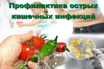 О мерах профилактики острых кишечных инфекций в летний период