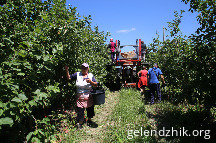 IMG_4388.JPG