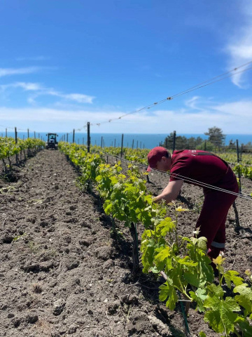 В Геленджике развивается современное производство