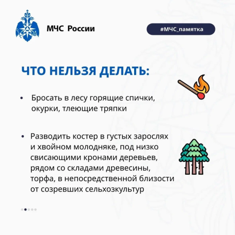 Берегите лес от пожаров! Берегите лес от пожаров!