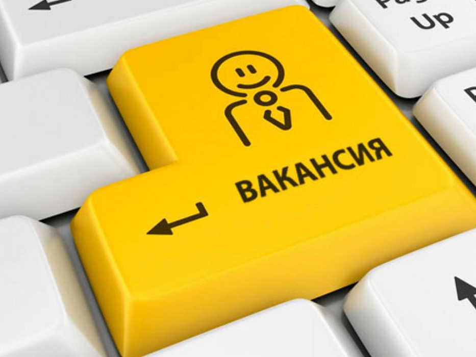 Требуется специалист в сфере ИТ Требуется специалист в сфере ИТ